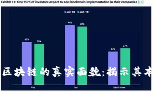 虚拟币与区块链的真实面貌:揭示其本质与潜力