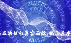 虚拟币与区块链的真实面貌:揭示其本质与潜力