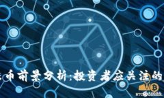 区块链玉米币前景分析:投资者应关注的趋势与