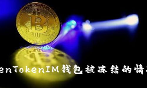 如何应对TokenTokenIM钱包被冻结的情况及解决方法
