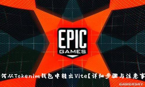 如何从Tokenim钱包中转出Vite?详细步骤与注意事项