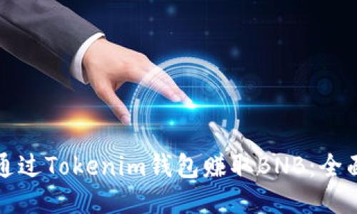 如何通过Tokenim钱包赚取BNB:全面指南