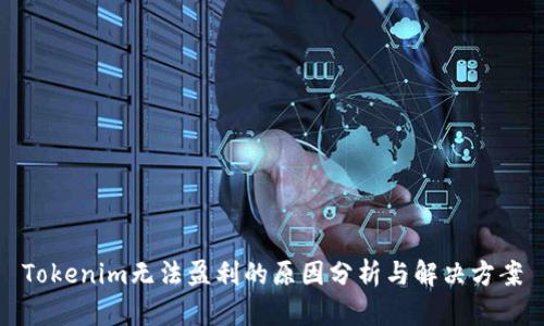 Tokenim无法盈利的原因分析与解决方案