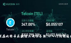 如何在比特币区块链上成功养猫:从入门到精通