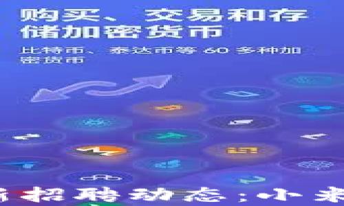 2023年区块链行业最新招聘动态:小米招聘网解析机会与挑战