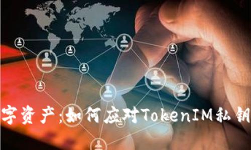 保护你的数字资产:如何应对TokenIM私钥被盗的风险