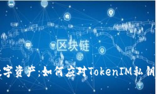 保护你的数字资产:如何应对TokenIM私钥被盗的风险