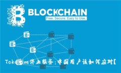 Tokenim停止服务:中国用户该如何应对?