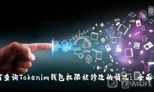 如何查询Tokenim钱包权限被修改的情况: 全面指南