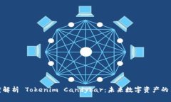 : 深度解析 Tokenim Candybar:未来数字资产的革命者
