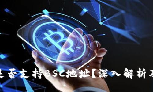 u/u:
TokenIM是否支持BSC地址?深入解析及使用指南