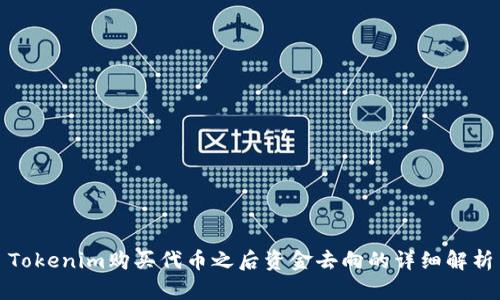 Tokenim购买代币之后资金去向的详细解析