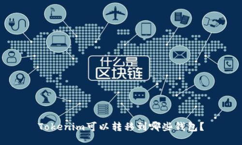 Tokenim可以转移到哪些钱包?