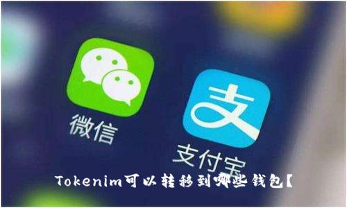 Tokenim可以转移到哪些钱包?