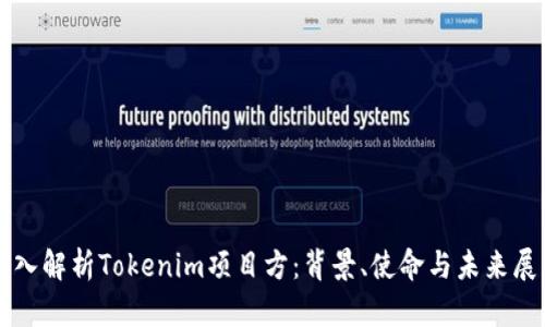 深入解析Tokenim项目方:背景、使命与未来展望