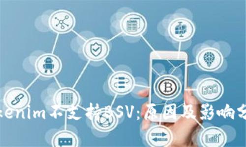 Tokenim不支持BSV:原因及影响分析