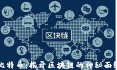 比特币:揭开区块链的神秘面纱