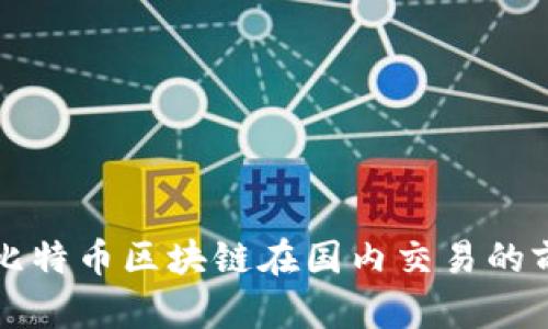 深入探讨比特币区块链在国内交易的前景与挑战