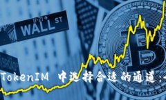 如何在 TokenIM 中选择合适的通道：全面指南