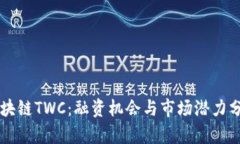 区块链TWC:融资机会与市场潜力分析