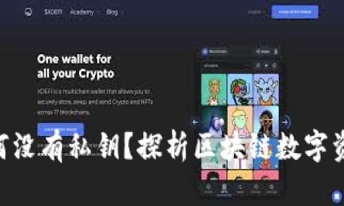 Tokenim中的币为何没有私钥？探析区块链数字资产的安全性与管理