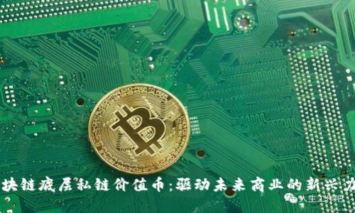 区块链底层私链价值币:驱动未来商业的新兴力量