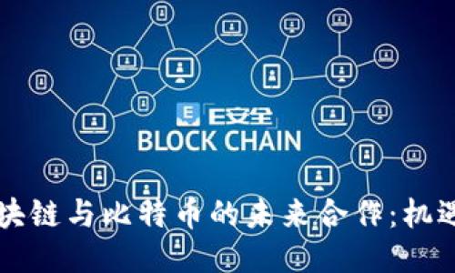 中国区块链与比特币的未来合作:机遇与挑战