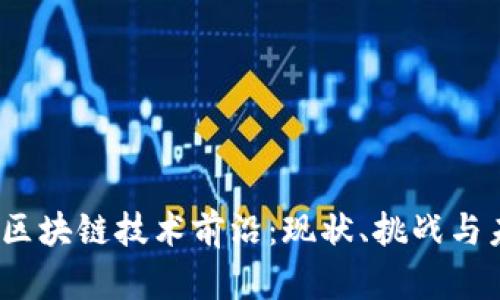 2023年中国区块链技术前沿:现状、挑战与未来发展趋势