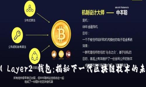IM Layer2 钱包：揭秘下一代区块链技术的未来