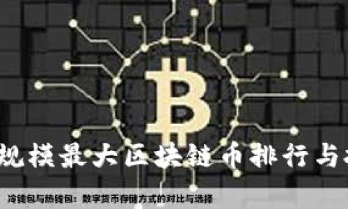 2023年规模最大区块链币排行与投资分析