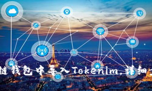 如何在OKEx多链钱包中导入Tokenim,详细步骤与注意事项