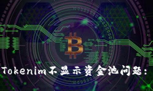 如何解决Tokenim不显示资金池问题: 完整指南