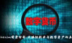 Tokenim前景分析：区块链技术与数字资产的未来