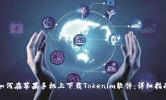 如何在苹果手机上下载Tokenim软件：详细指南