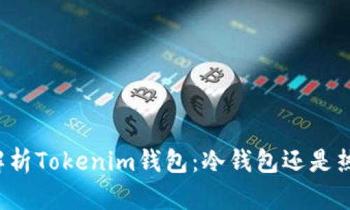 深入解析Tokenim钱包:冷钱包还是热钱包?