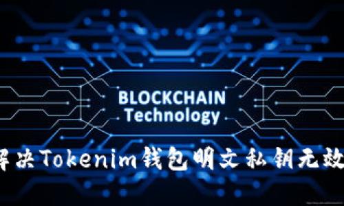如何解决Tokenim钱包明文私钥无效问题?