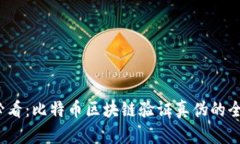 2025必看：比特币区块链验证真伪的全景解析
