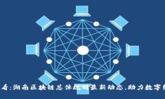 2025必看：湖南区块链总体规划最新动态，助力数