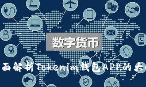 2025必看！全面解析Tokenim钱包APP的大小及使用体验