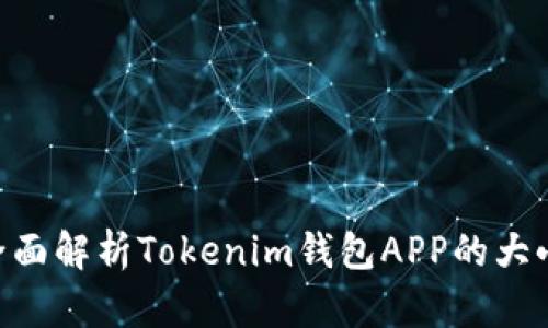 2025必看！全面解析Tokenim钱包APP的大小及使用体验