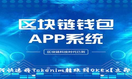 2025必看:如何快速将Tokenim转账到OKEx?立即掌握必备技巧!