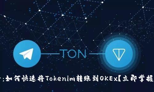 2025必看:如何快速将Tokenim转账到OKEx?立即掌握必备技巧!