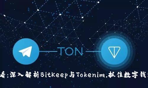 2025必看:深入解析BitKeep与Tokenim,抓住数字钱包的未来