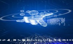 2025必看:深入解析TokenIM如何进行EOS映射