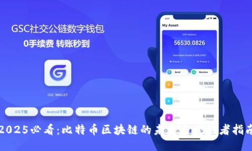 2025必看：比特币区块链的未来与爱好者指南