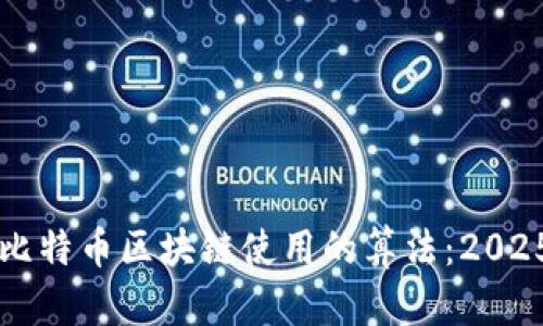 立即了解比特币区块链使用的算法：2025必看指南