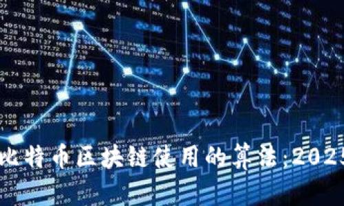 立即了解比特币区块链使用的算法：2025必看指南