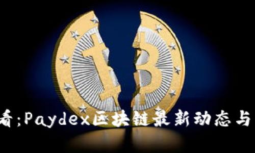 2025必看：Paydex区块链最新动态与应用解析