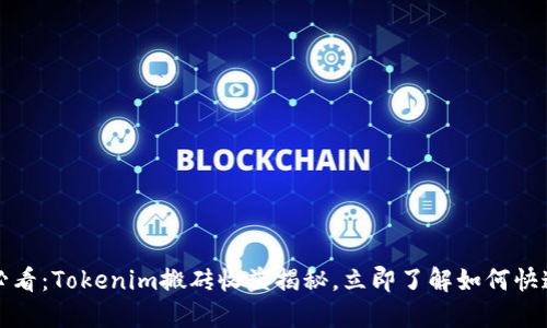 2025必看：Tokenim搬砖收益揭秘，立即了解如何快速盈利！