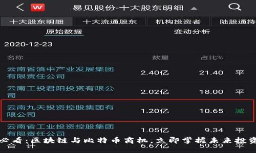 2025必看：区块链与比特币商机，立即掌握未来投资趋势！